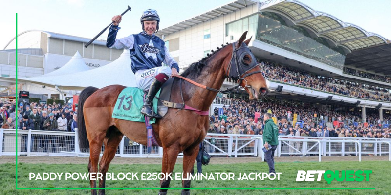 Punter's £250,000 Paddy Power Eliminator Win Locked Behind Closed Account – What Really Happened at Cheltenham 2026